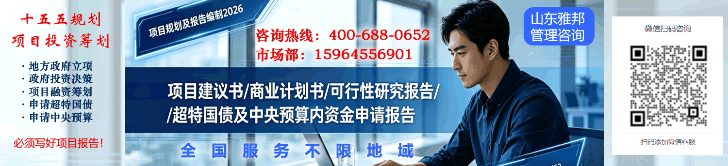 中央预算内投资申报咨询服务 - 专业团队全程指导