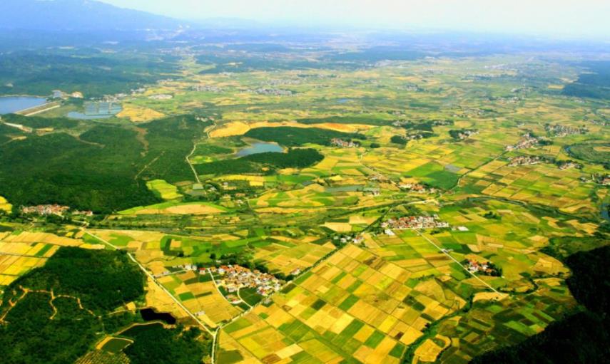 福建省发布“十四五”特色现代农业发展规划